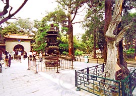 Forbidden City in Beijing - Imperial Garden